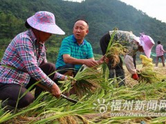劉長記：讓村民每年人均收入增千元的致富經