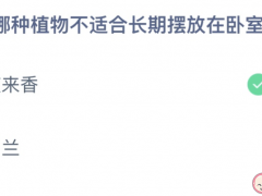 以下哪種植物不適合長期擺放在臥室 螞蟻莊園3月23日答案最新