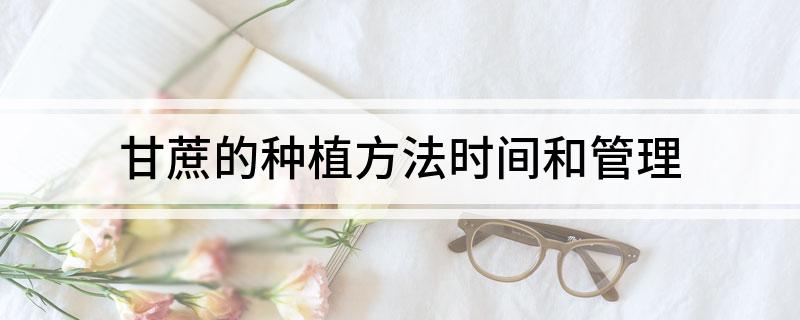 甘蔗種植時間和方法_甘蔗種植方法時間和方法_甘蔗種植技術(shù)