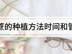 甘蔗的種植方法時(shí)間和管理