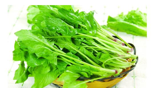 2018農藥殘留最少十種蔬菜_農藥殘留最厲害的5種蔬菜_蔬菜農藥殘留排行榜