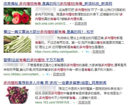 多肉枝干番杏怎么養(yǎng)_番杏類多肉哪個(gè)好養(yǎng)_枝干番杏多肉
