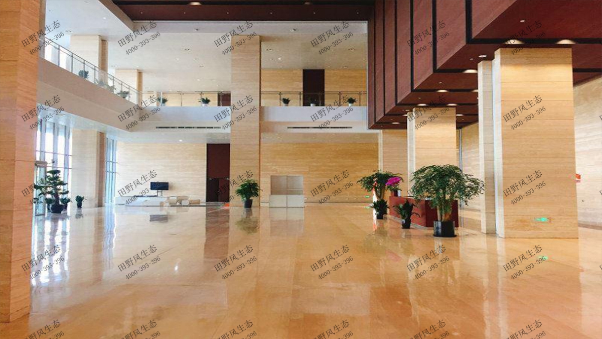 花卉室內(nèi)綠植租擺圖片大全_花卉室內(nèi)綠植租擺圖片_室內(nèi)花卉綠植租擺