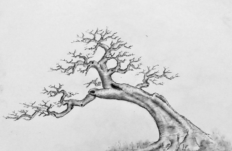 適合北方種植的果樹_果樹北方種植適合什么土壤_果樹北方種植適合什么季節