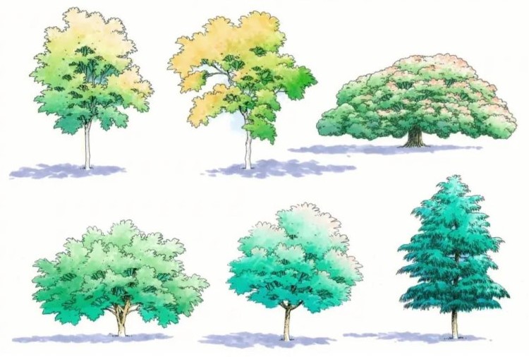 果樹北方種植適合什么土壤_果樹北方種植適合什么季節_適合北方種植的果樹