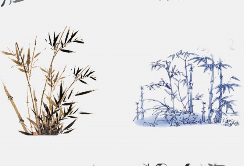 適合北方種植的果樹_果樹北方種植適合什么季節_果樹北方種植適合什么土壤