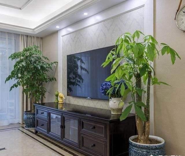 室內養(yǎng)大型綠植好有什么好處_室內大型綠植什么樣的好養(yǎng)活_室內好養(yǎng)的大型綠植有哪些