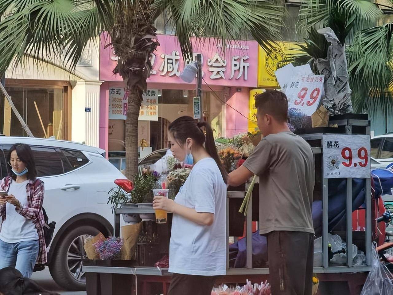 藥錦多肉還能養活嗎_常見藥錦多肉_什么是藥錦多肉