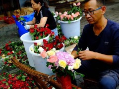 5類(lèi)花已進(jìn)“黑名單”，越養(yǎng)越“不吉利”，見(jiàn)到了盡量不要買(mǎi)