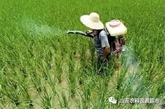 農藥經銷商好做嗎_農藥經銷商_農藥經銷商進貨渠道