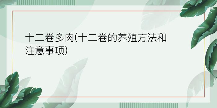 12卷多肉植物圖片大全_多肉12卷圖片_12卷多肉