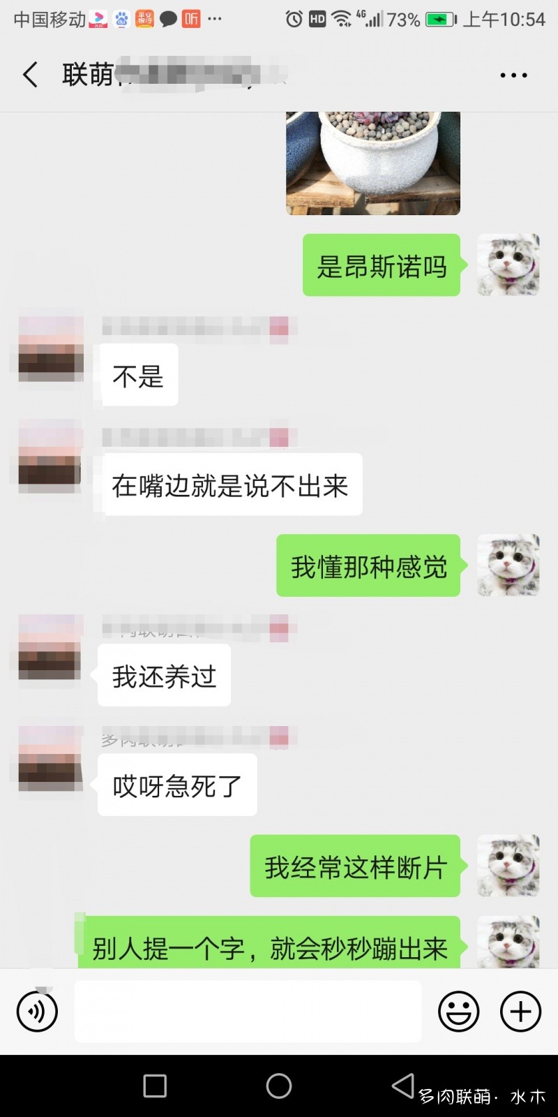 達摩寶珠多肉太高怎么辦視頻_多肉植物達摩寶珠_達摩寶珠多肉好養嗎