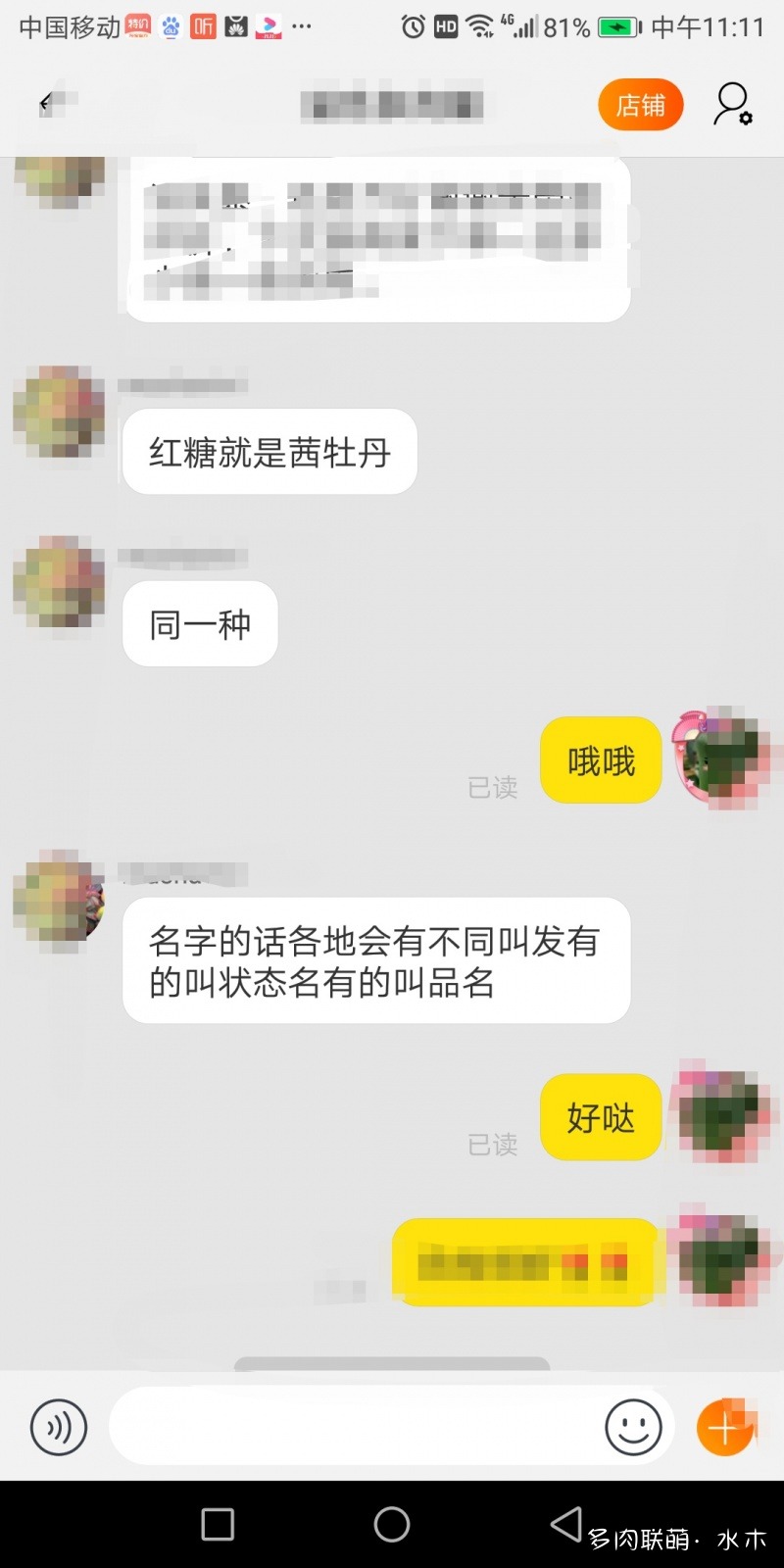 達摩寶珠多肉好養嗎_多肉植物達摩寶珠_達摩寶珠多肉太高怎么辦視頻